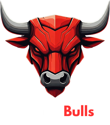 Skyline Bulls Logo